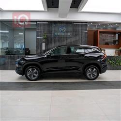 جيتور داشينج